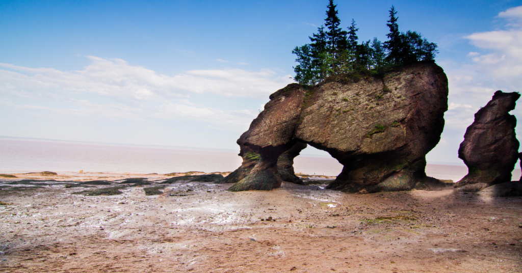 Bay of Fundy - Indica Travel Guide