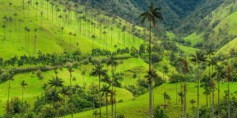 Colombia Featured Image - Colombia Travel Itinerary 10 days