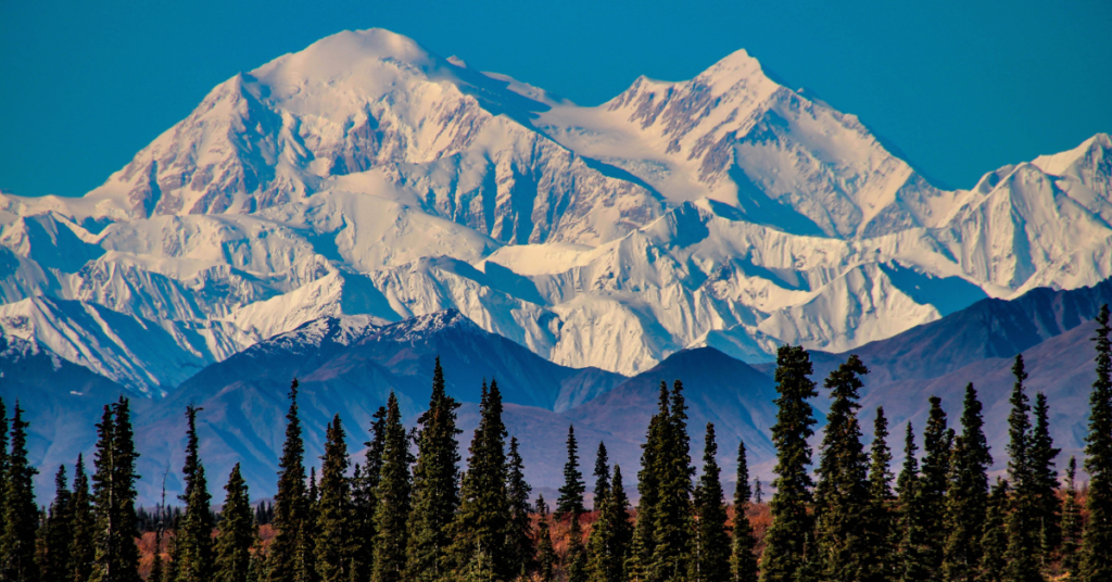 Denali - Alaska Travel itinerary 10 days - Indica Travel guide