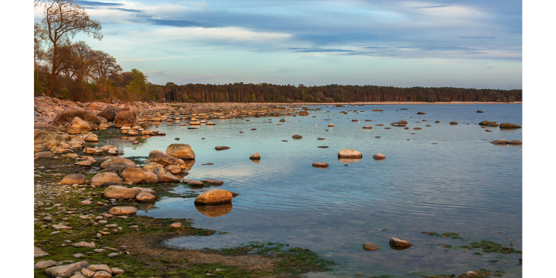 Pirita Beach - Tallinn 2 Day Itinerary Pirita Beach - Tallinn 2 Day Itinerary